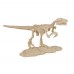 Arheologa komplekts Dinozaura skelets